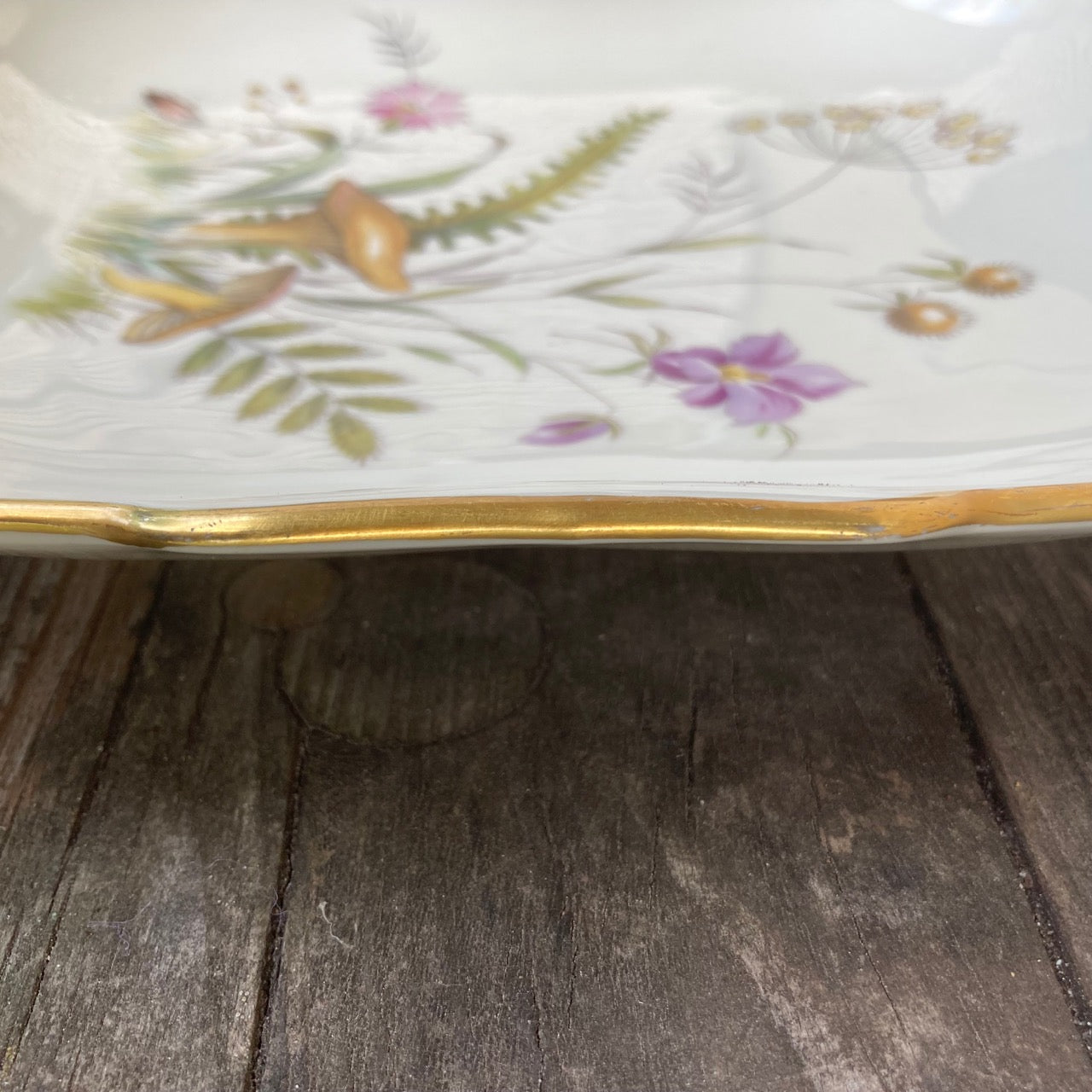 1950s German Porcelain Cake and Cookie Plate "Waldtraum" Jlmenau Graf von Henneberg, Mushroom Design